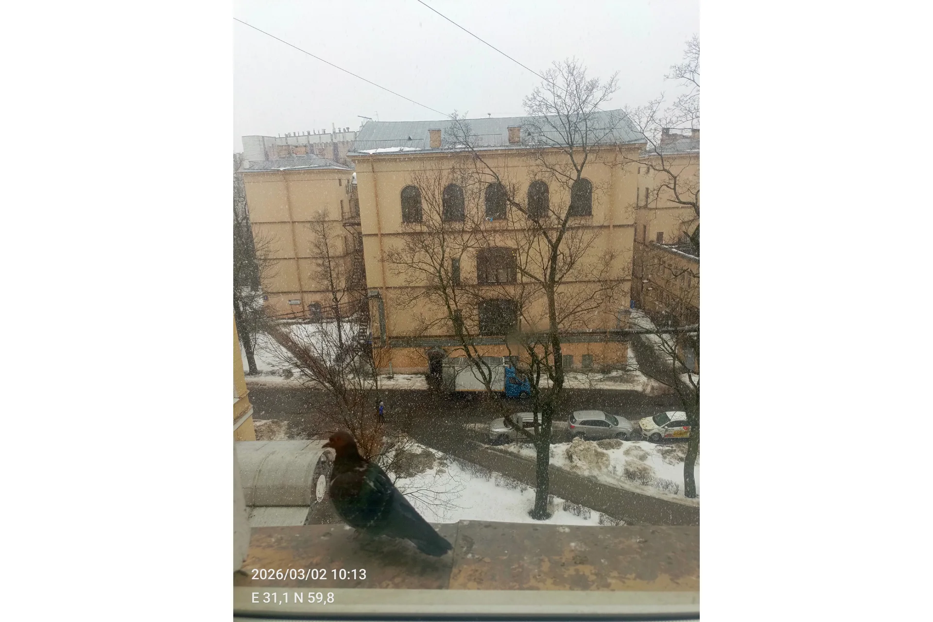 Pavlov First Saint Petersburg State Medical University campus and university infrastructure