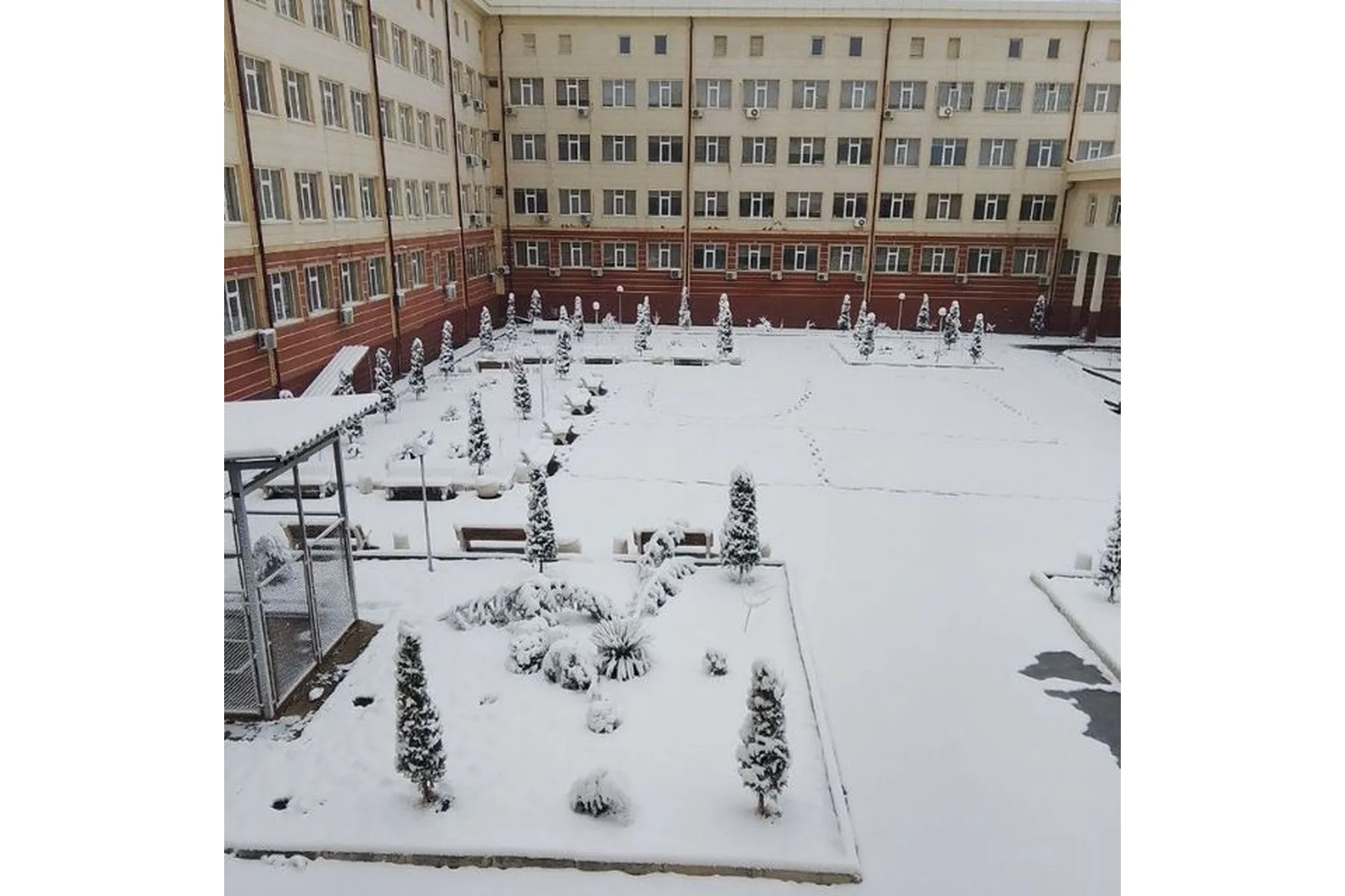Tashkent Pediatric Medical Institute campus and university infrastructure