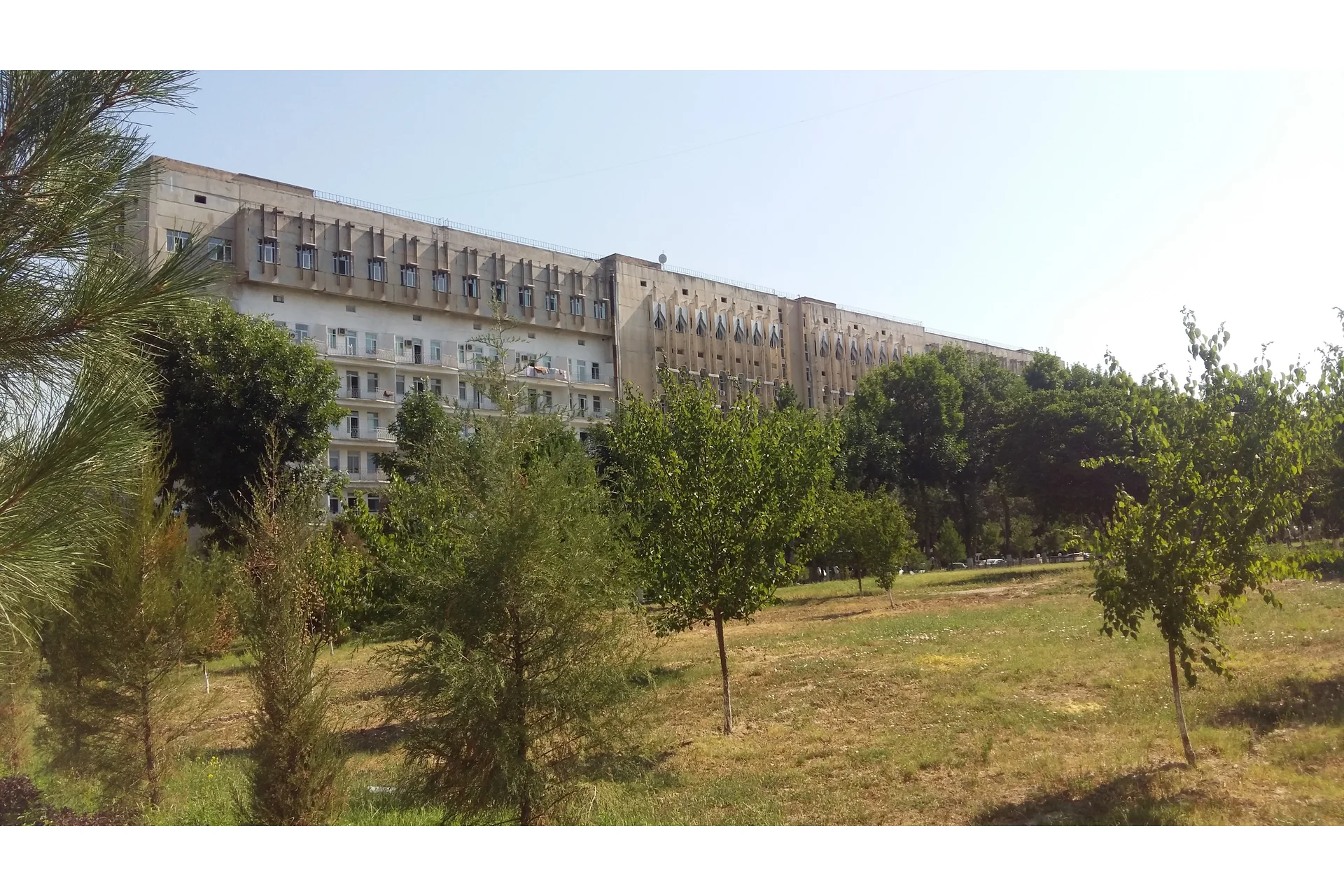 Tashkent State Medical University campus and university infrastructure